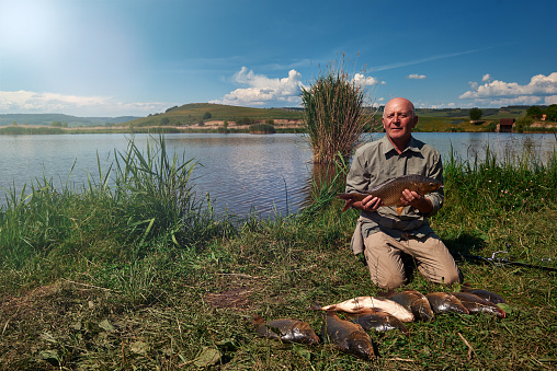 senior fisher man surrounded by carps, leisure activity and hobbies concept.summer shot.