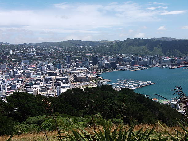 istock looking down on Wellington, New Zealand 490620828