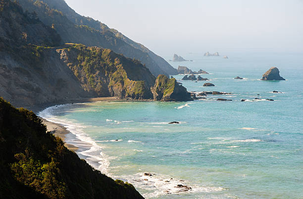 istock Redwood National Park 490632828