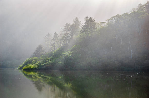istock Redwood National Park 490632840