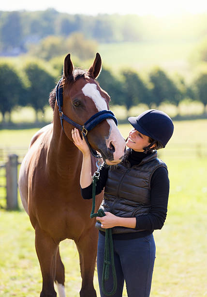 istock Young Rider hugging  her horse, Norway 490634608