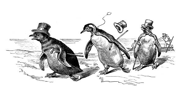 おしゃれなペンギンのウォーキング - penguin walking water adult点のイラスト素材／クリップアート素材／マンガ素材／アイコン素材