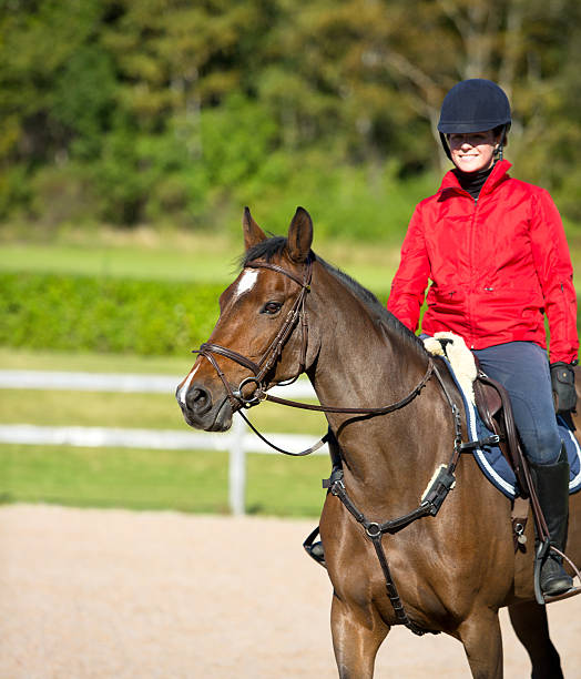 istock Young rider horseback riding in the sun, Norway 490637652