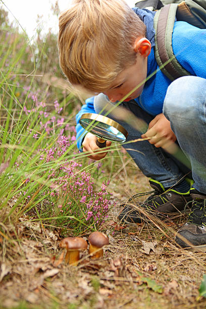 istock Boy Holding Magnifying Glass Discovering Nature 490639600
