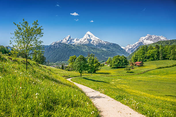 istock Idyllic landscape in the Alps with mountain pastures in springtime 490639676