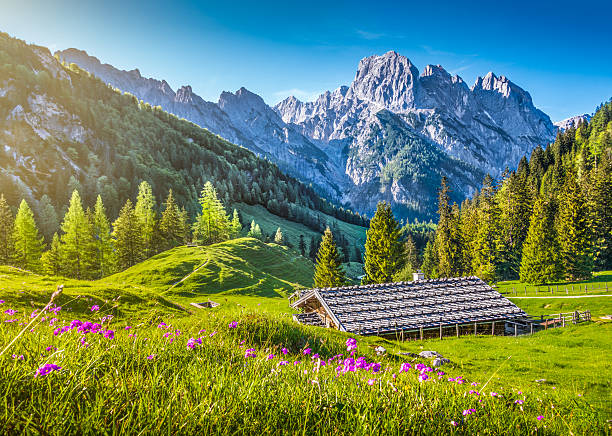 idyllische landschaft der alpen, berg-chalet im frühling - alpen panorama stock-fotos und bilder