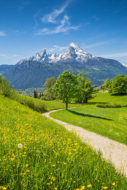 idyllische landschaft der alpen mit mountain weiden im frühjahr - european alps germany landscaped spring stock-fotos und bilder