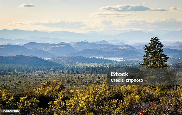 Shastatrinity National Forest Stock Photo - Download Image Now - Modoc Plateau, California, U.S. Forest Service