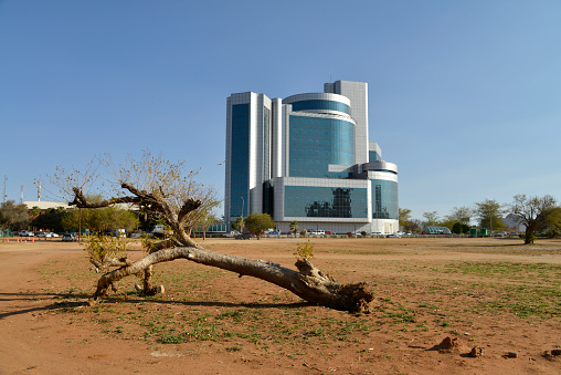 Unfinished buildings in a park, closeup of photo