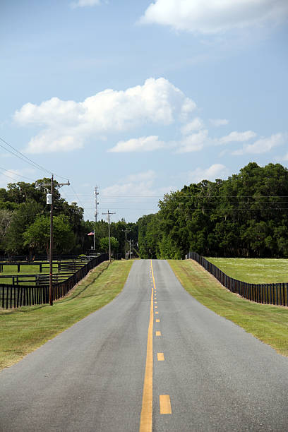 istock An empty road with yellow lines and a beautiful sky 490644264
