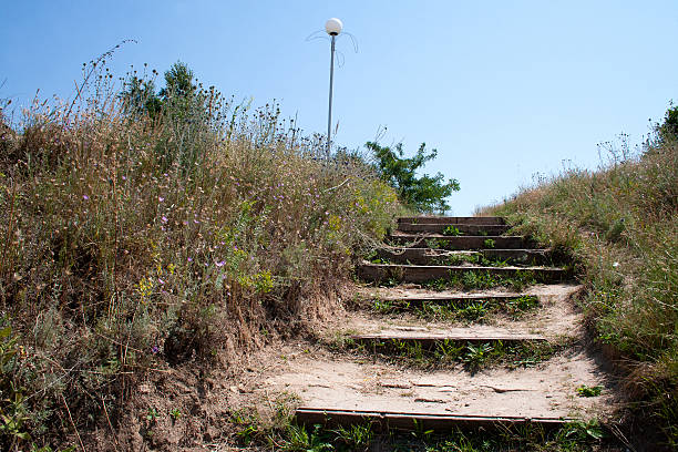istock Wooden stairs on the hillside. 490645720