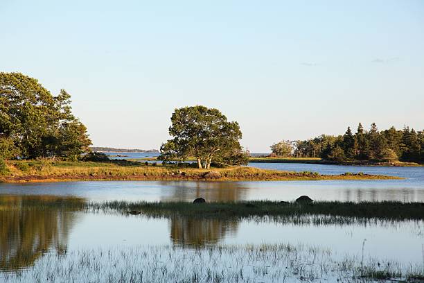 istock Scenic view of nature scene 490646742