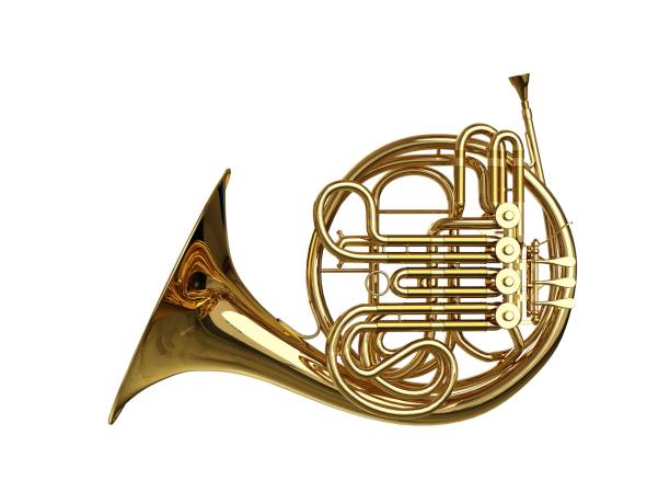 French Horn French Horn brass instrument stock pictures, royalty-free photos & images