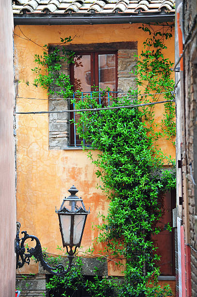 istock Colourful corner, Rome, Italy 490653731