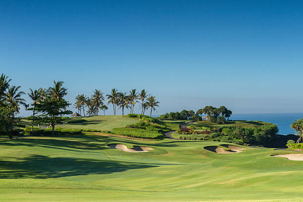 トロピカルなゴルフコースが海でアジア - formal garden tropical climate park plant ストックフォトと画像