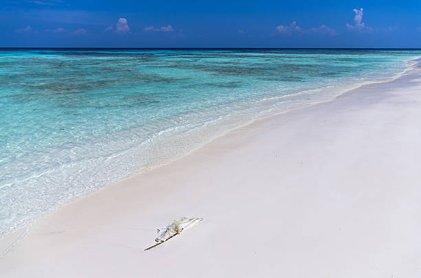 istock white sea beach with blue sky, beautiful nature 490655943