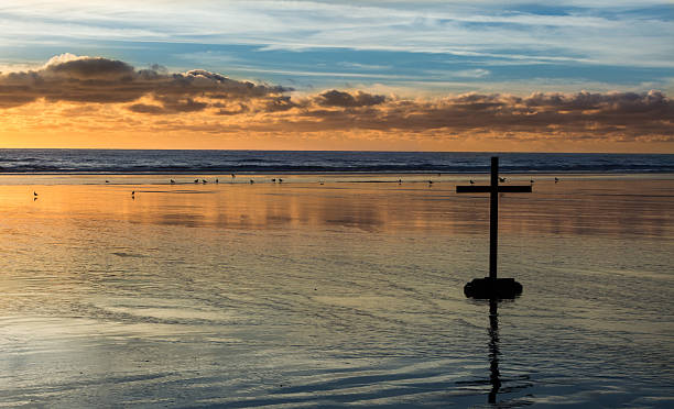 istock Beach Of Salvation 490656865