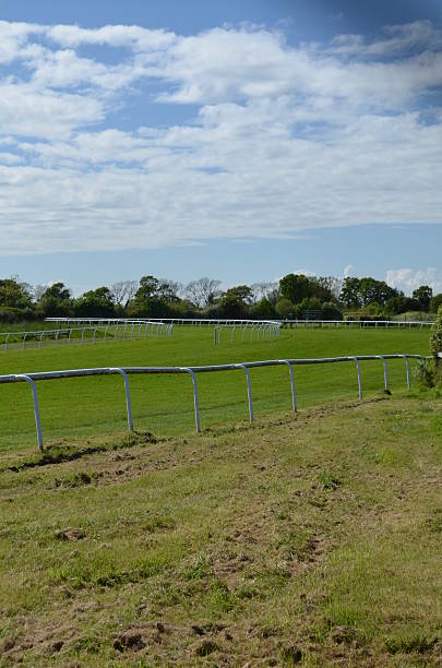 istock Horse racecourse in Southern England. 490658419