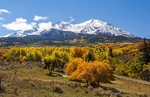 istock Colorful Colorado mountain in autumn 490658669