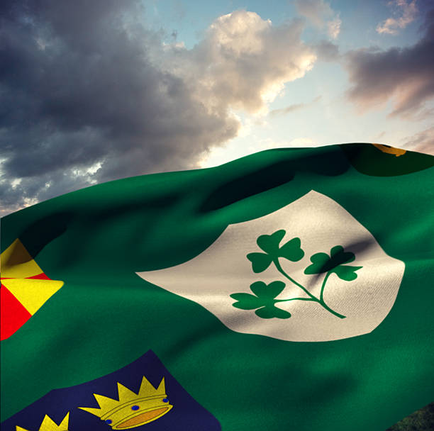 istock Composite image flag of the irfu with the centenary logo 490660656