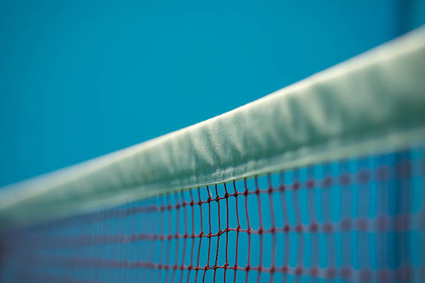 istock Badminton court 490664972