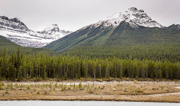 istock Jasper National Park, Alberta, Canada 490665506
