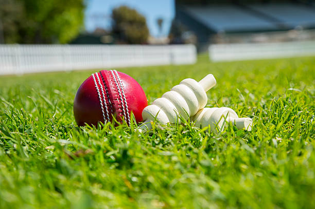 Cricket ball Cricket ball and bails on oval cricket stump photos stock pictures, royalty-free photos & images