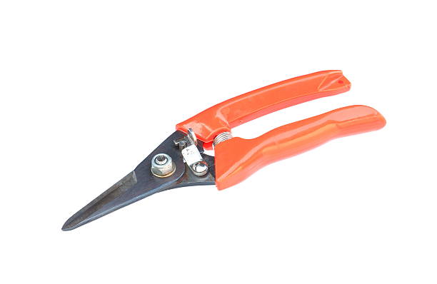 Gardening equipment. Scissors for gardening equipment,isolated on white background. nub stock pictures, royalty-free photos & images