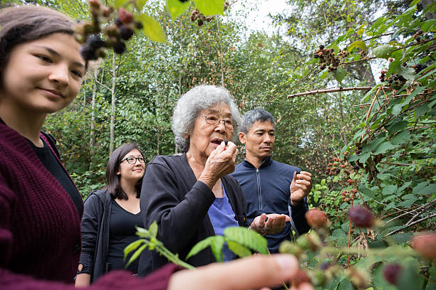Three Generation Family Picking and Eating Wild Blackberries in Woods