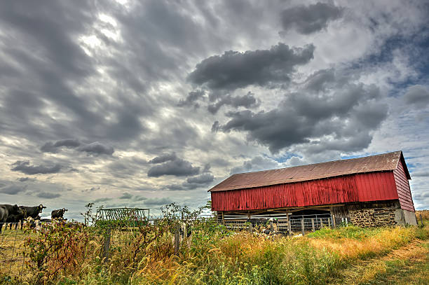 istock Red Barn in countryside during Autumn 490668890