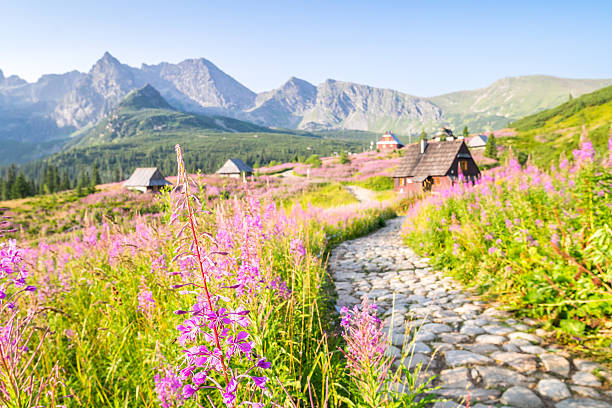 istock Wooden huts scattered on flowery meadow 490669756