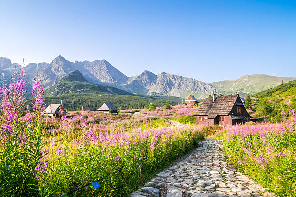 istock Wooden huts scattered on flowery meadow 490669828