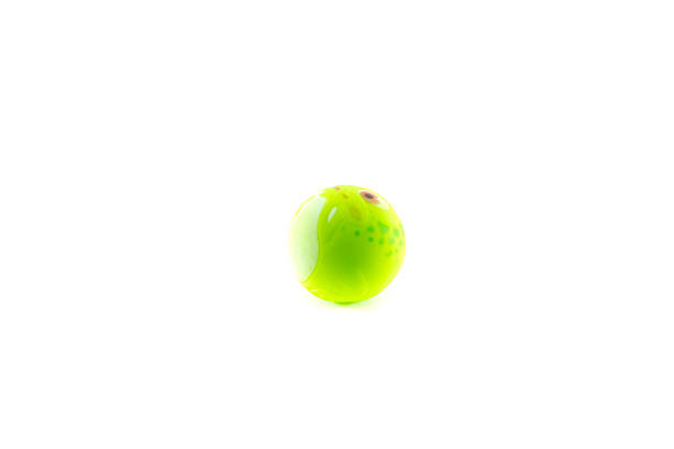 istock Pet toy isolated on white background 490669870