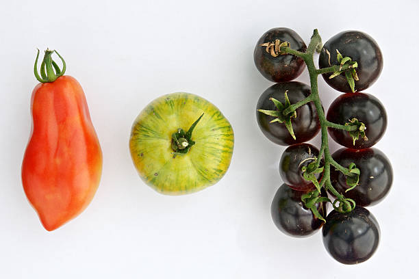 カラフルな tomatos 白背景 - heirloom tomato zebra tomato tomato organic ストックフォトと画像