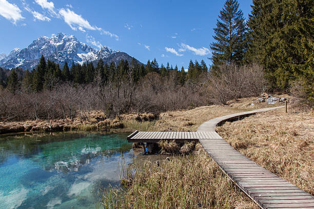 Alpine lake Alpine lake in Slovenian Alps julian california stock pictures, royalty-free photos & images