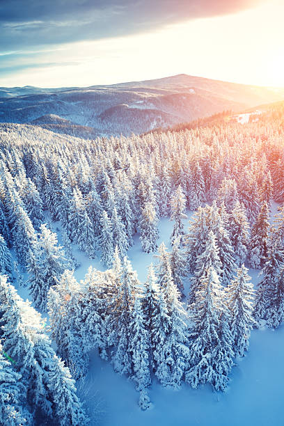 alba invernale idilliaca - sunrise mountain winter arctic foto e immagini stock