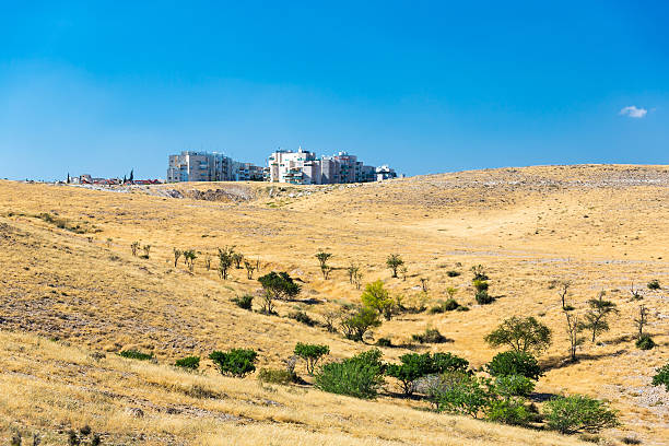 istock city in desert 490685248