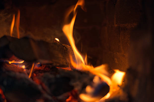 istock Wooden logs in stove, front view 490686074