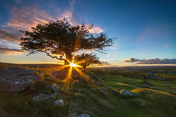sun hacia abajo sobre el amarre - dartmoor fotografías e imágenes de stock