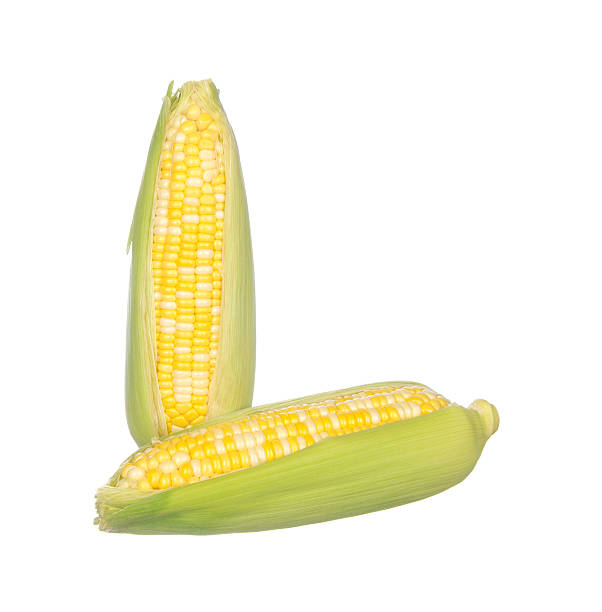 istock Two color corns isolated on white 490687858