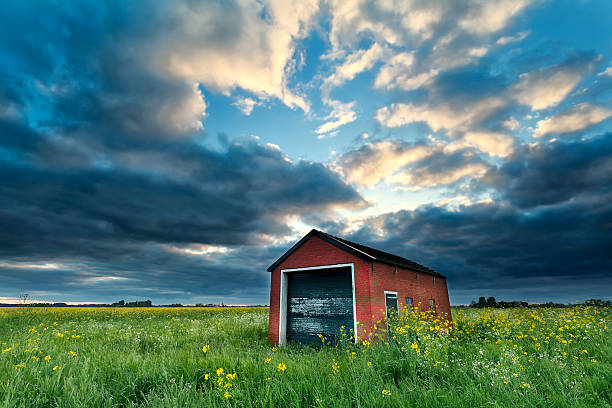 istock farmhouse on rapeseed field at sunset 490689581
