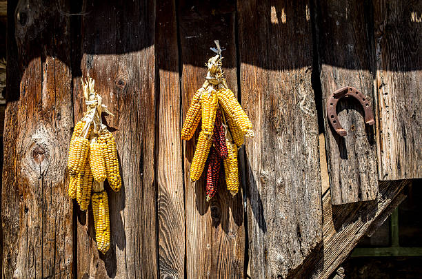 옥수수 도어 - decoration corn door corn crop 뉴스 사진 이미지