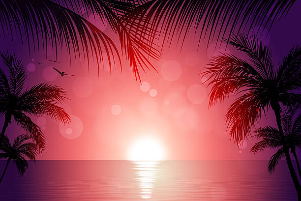 illustrations, cliparts, dessins animés et icônes de coucher de soleil tropical - romance travel backgrounds beaches holidays and celebrations