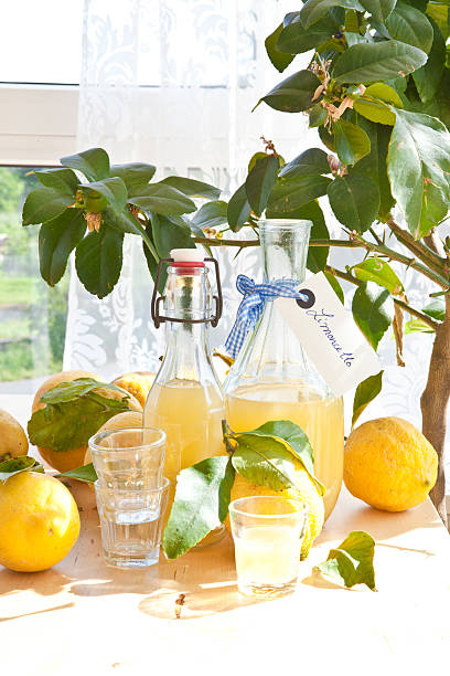 istock Homemade Limoncello 490691531