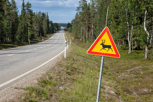 istock Beautiful scenic road in Norway. Typical warning road sign 490691935