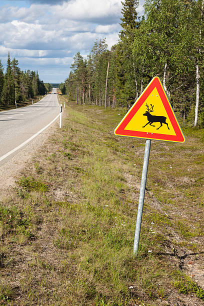 istock Beautiful scenic road in Norway. Typical warning road sign 490691939