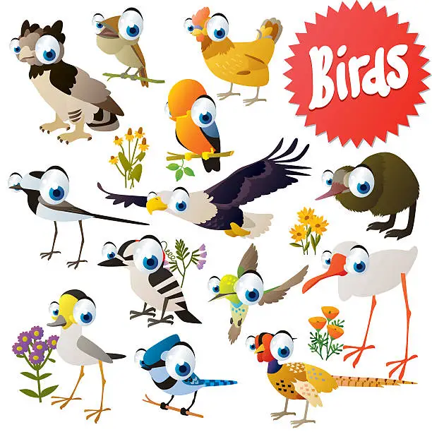 Vector illustration of vector cartoon birds