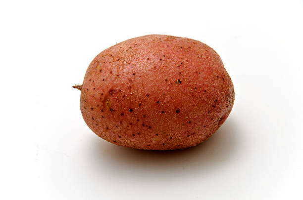 czerwony ziemniak - red potato raw potato isolated vegetable zdjęcia i obrazy z banku zdjęć