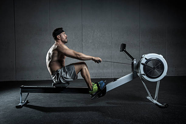 rowing training rowing exercise ganar stock pictures, royalty-free photos & images