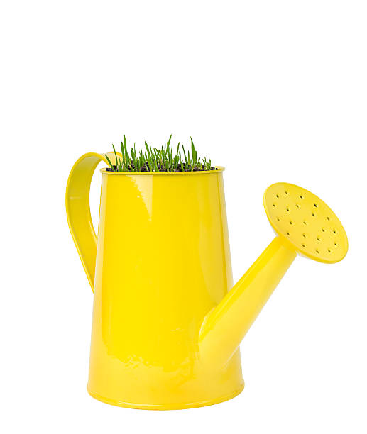 istock grass in a metal watering can 490694959